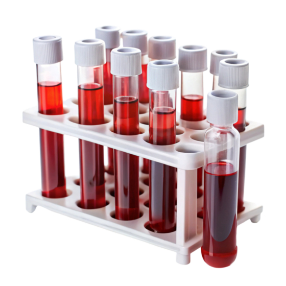 Daphne Al - Functional health and fitness